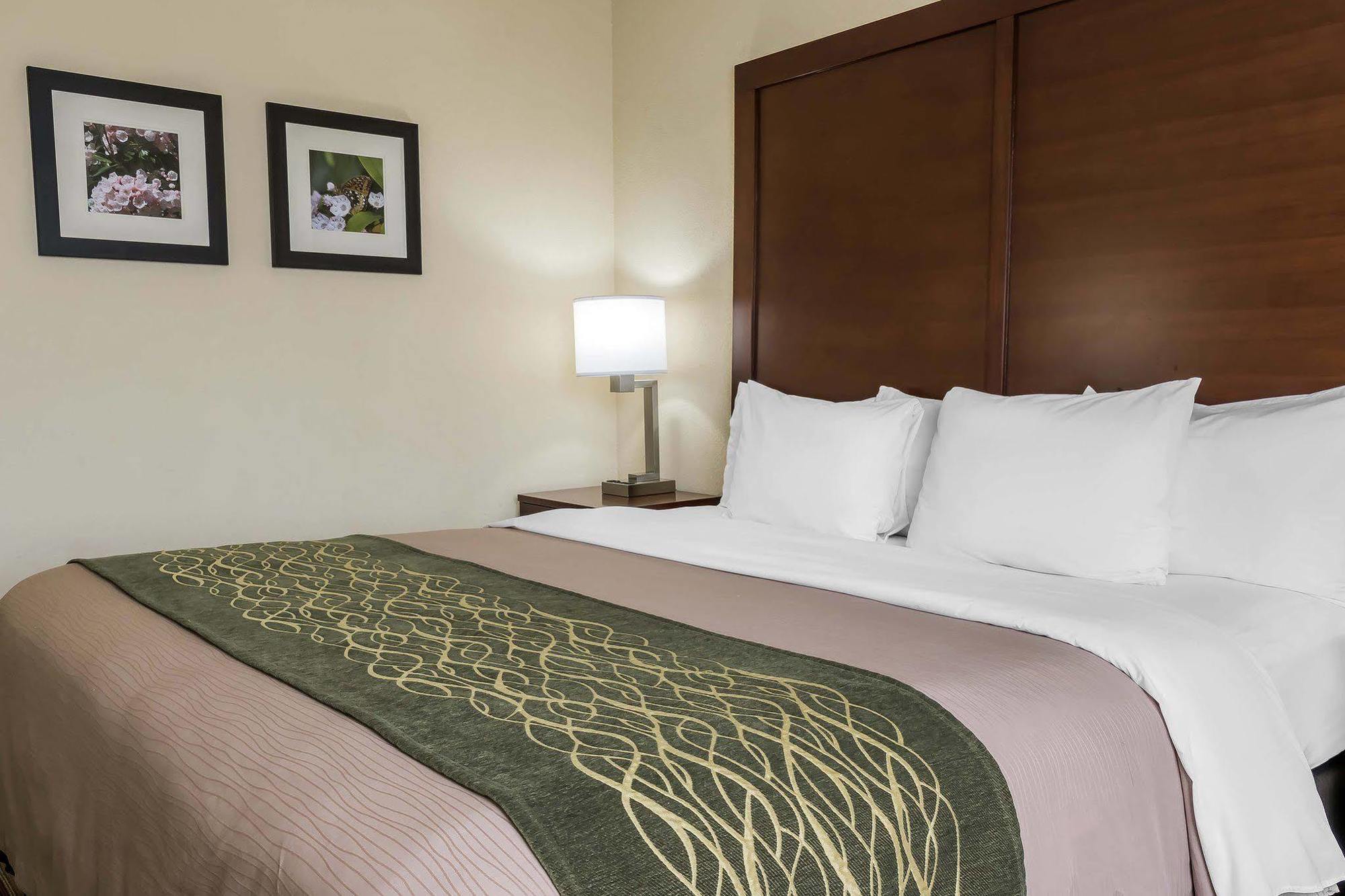 White Haven Comfort Inn - Pocono Mountains מראה חיצוני תמונה