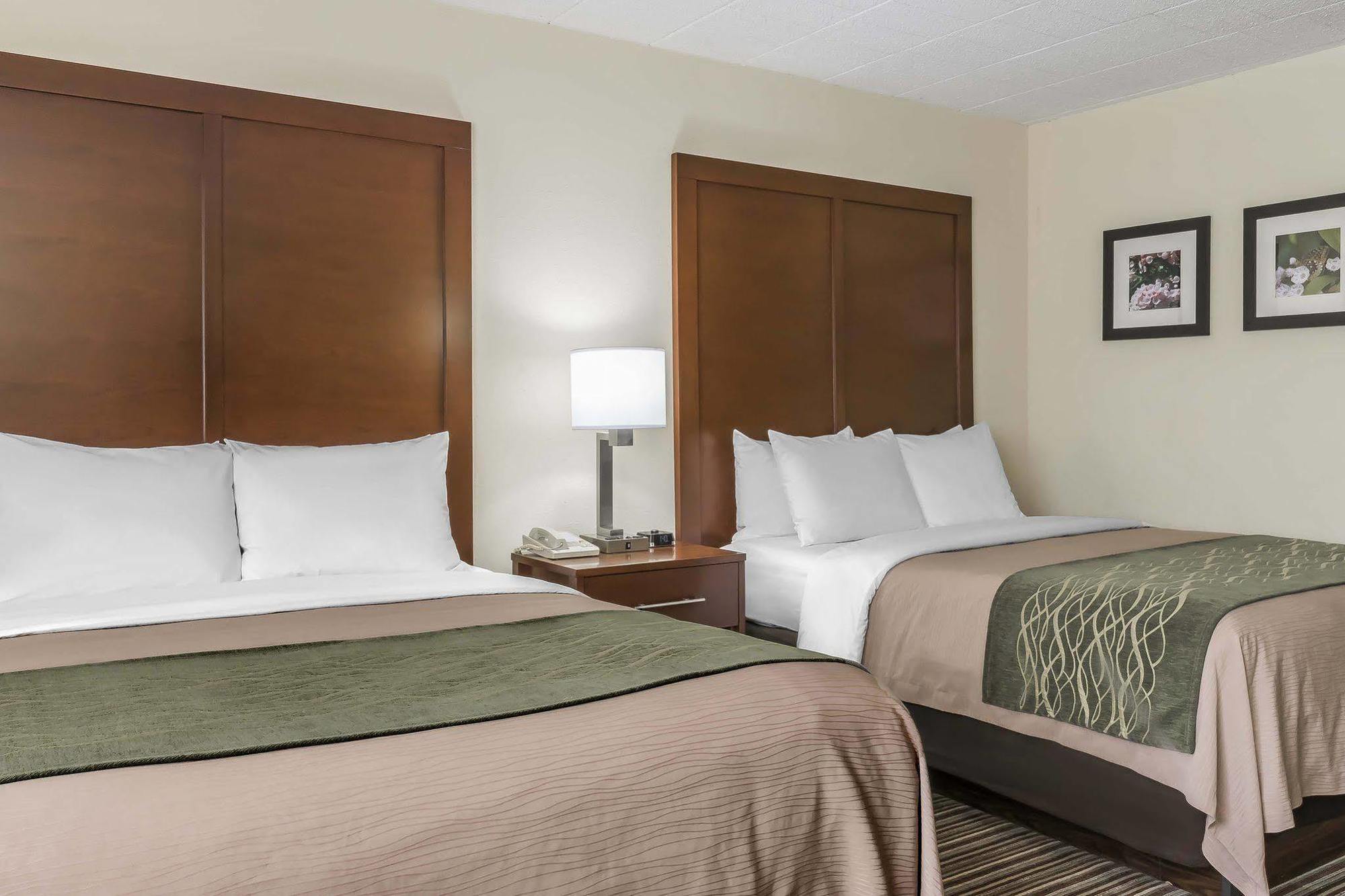 White Haven Comfort Inn - Pocono Mountains מראה חיצוני תמונה